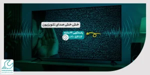 خش خش صدای تلویزیون